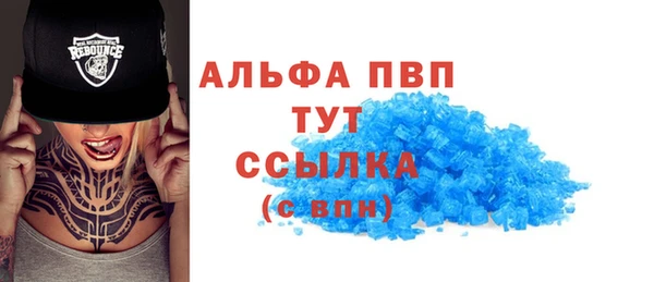 спайс Инта