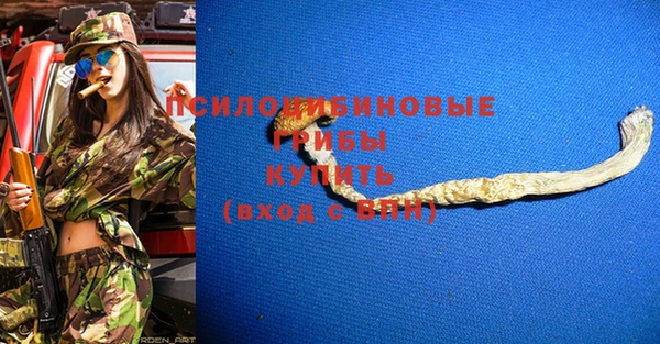 спайс Инта