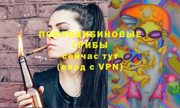 спайс Инта