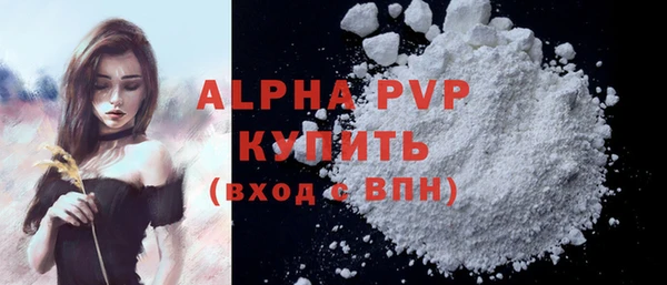 спайс Инта